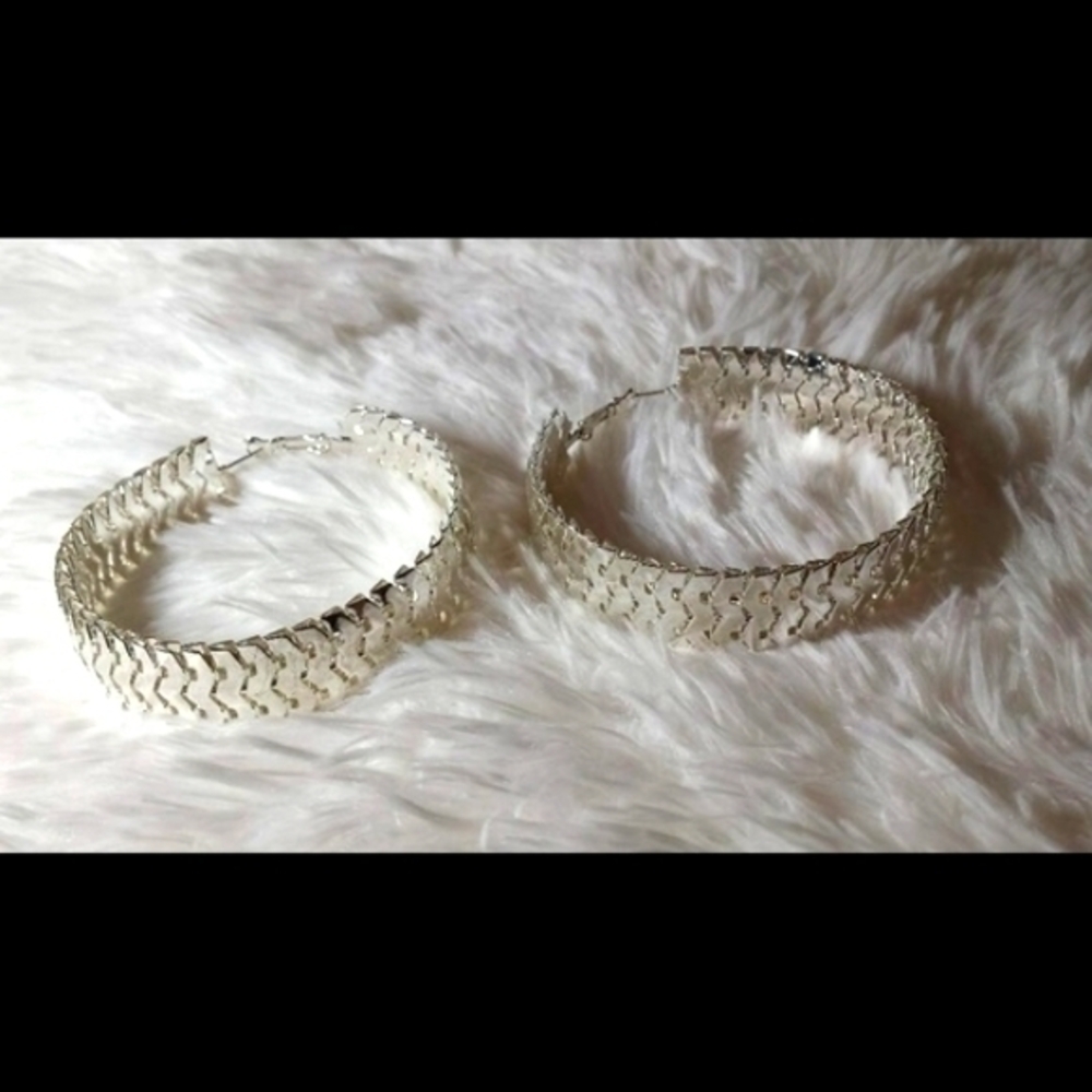 ☄Swaying Fish-Scale Silver Tone Hoop Earrings